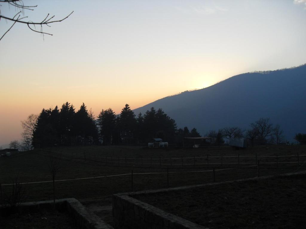 Agriturismo Le Vigne Villa Montale  Phòng bức ảnh