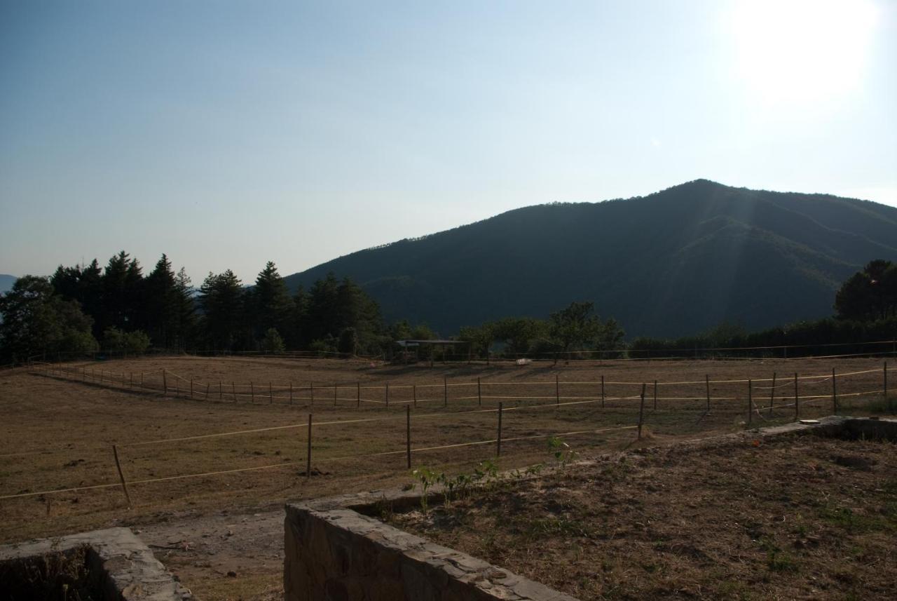 Agriturismo Le Vigne Villa Montale  Ngoại thất bức ảnh